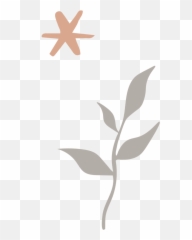 Folklore Flower Co - Decorative png