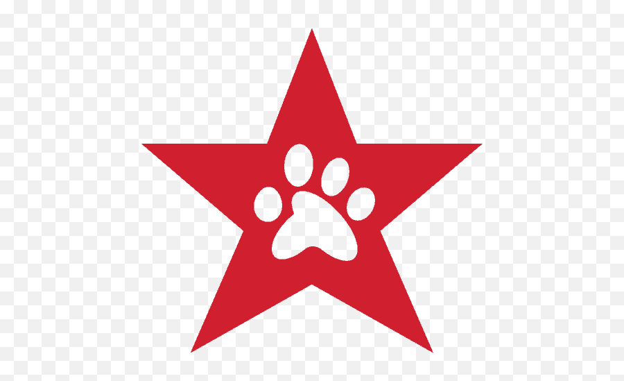 Wag - Freedom Service Dogs Png,Icon Milestone1