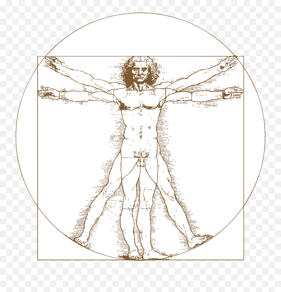 Leonardo Da Vinci Vitruvian Man Tattoo Png
