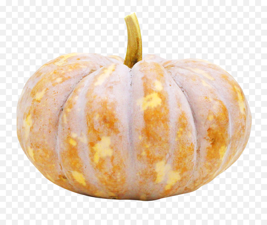 Pumpkin Png Image - Vegetables Cucurbita Pepo Pumpkin,Pumpkin Png