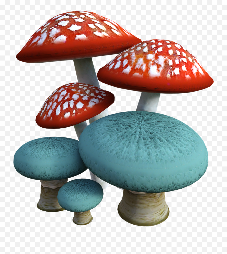 Mushrooms Mushroom Fungi - Transparent Fungi Png,Fungi Png