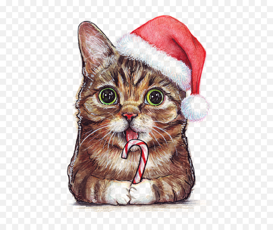 Image Lil Bub - Cat With Christmas Hat Drawing High Christmas Png Image Cats,Xmas Hat Png