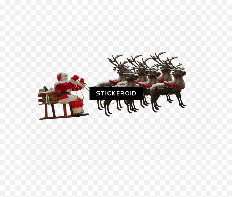 Download Santa Claus And Reindeer - Santa Claus Reindeer Png Santa Claus,Reindeer Png