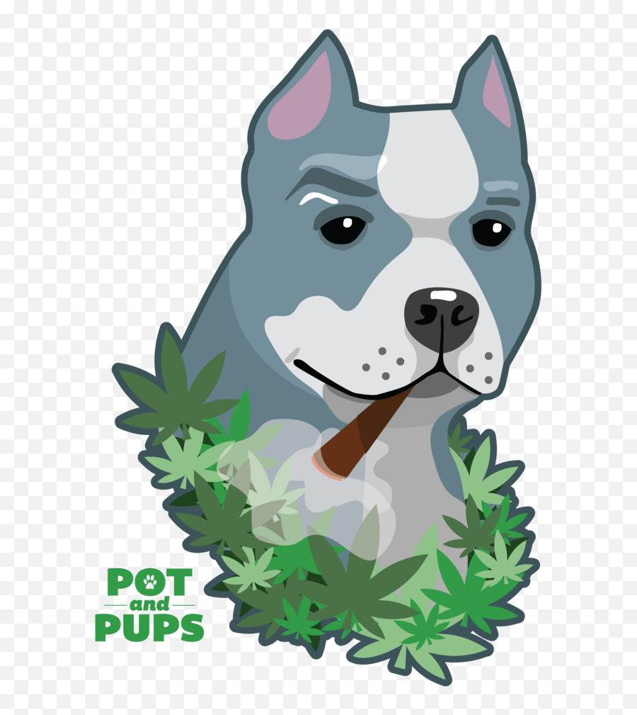 Pitbull Png - American Pit Bull Terrier,Pitbull Png