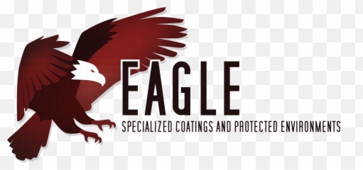 Home - Bald Eagle png