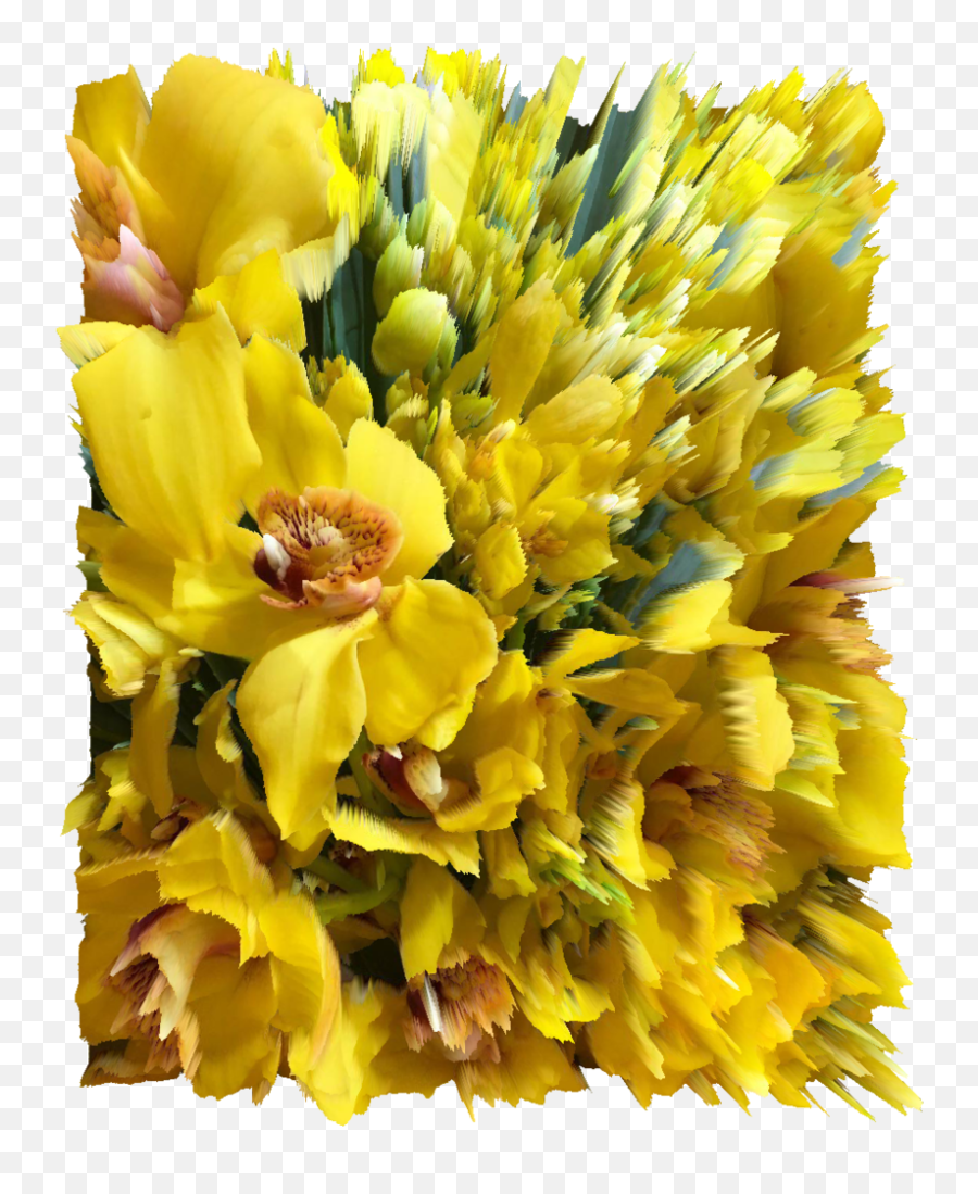 Wdwpf - Bouquet Png,Lillies Png