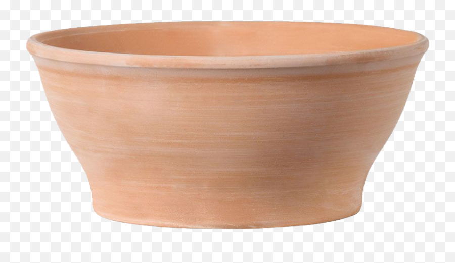 The Nunhead Gardener - Planter Bowl White Table Png,Planter Png