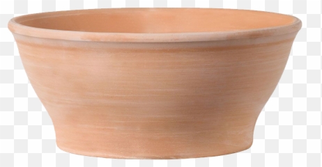 The Nunhead Gardener - Planter Bowl White Table Png,Planter Png