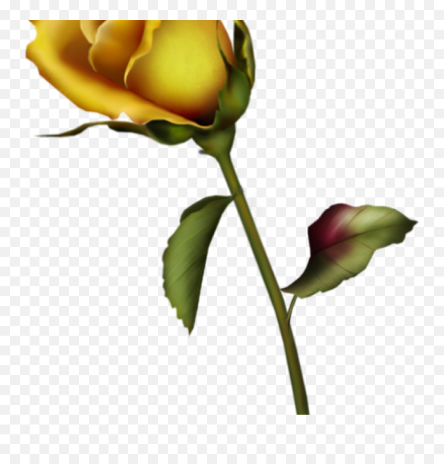 Yellow Rose Clipart Bud Clip Art Gallery - Rose Single Yellow Rose Art Png,Yellow Rose Png