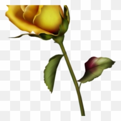 Yellow Rose Clipart Bud Clip Art Gallery - Rose Single Yellow Rose Art Png,Yellow Rose Png