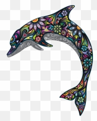 Dolphin Logo Brand - Icon Png art Dibujos De Delfines En La Pared