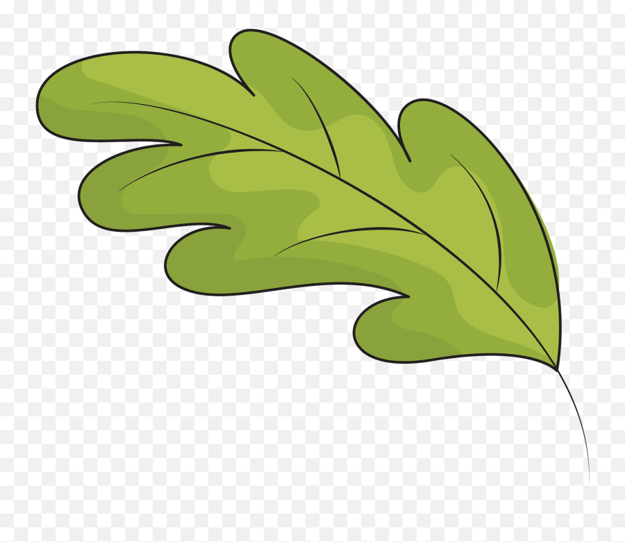 Green Oak Leaf Clipart - Green Fall Leaf Clipart Png,Leaf Clipart Png