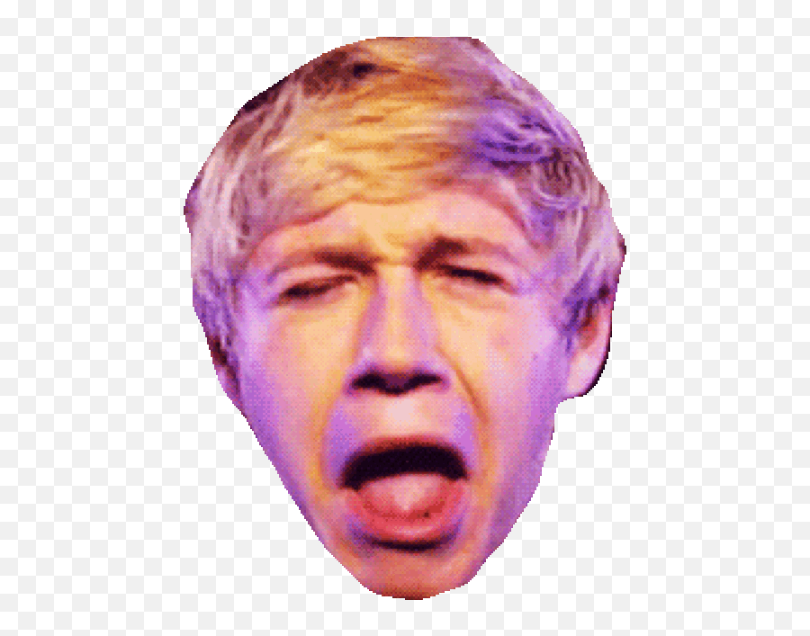 Top Directional Stickers For Android U0026 Ios Find The Best - Niall Horan  Funny Face Png,One Direction Transparents - free transparent png images -  
