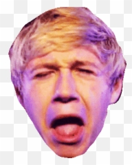 Top Directional Stickers For Android U0026 Ios Find The Best - Niall Horan Funny Face Png,One Direction Transparents