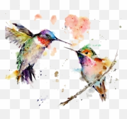 Acuarela - Watercolor Wild Animals Painting Png,Acuarela Png