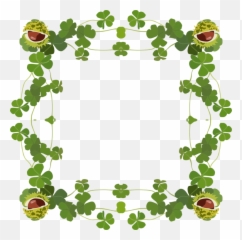 Saint Patricku0027s Day Clipart Free Download In Png Or Vector - St Day Clip Art Free,Shamrock Clipart Png