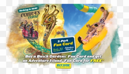 Busch Gardens Tampa Florida Theme Park Parks - Fun Png,Busch Gardens Logo