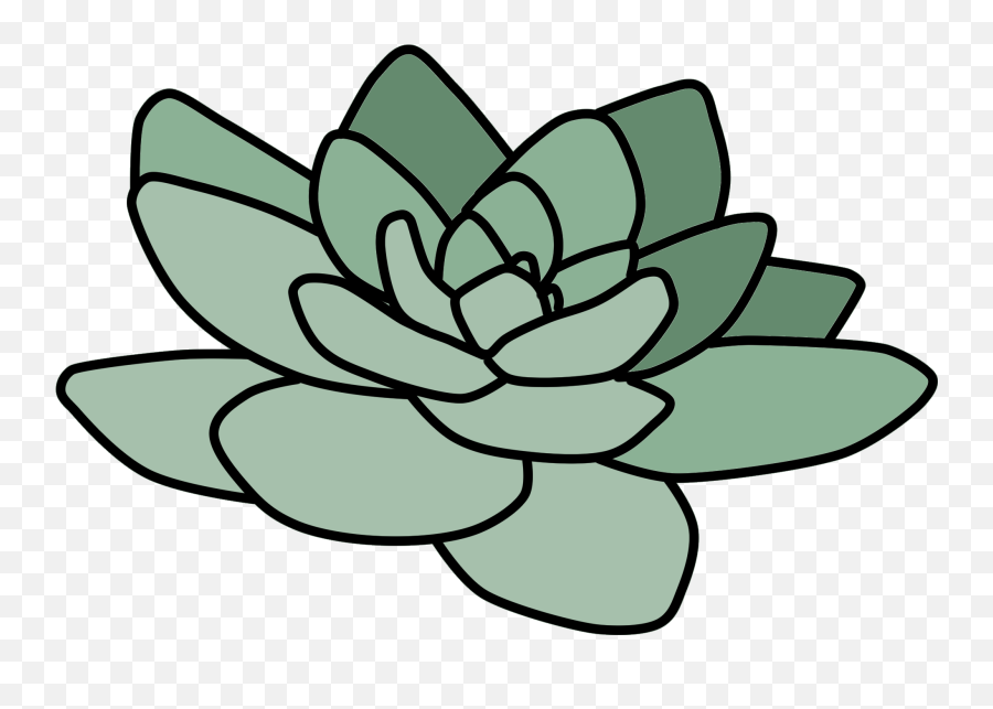 Cactus Suculent Tumblr Plant Green - Cactus Tumblr Png,Transparent Flower Drawing Tumblr