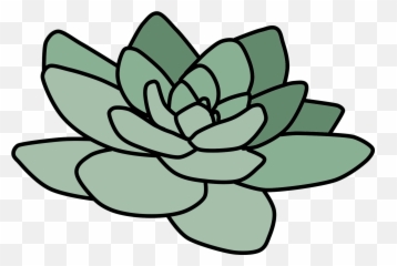 Cactus Suculent Tumblr Plant Green - Png