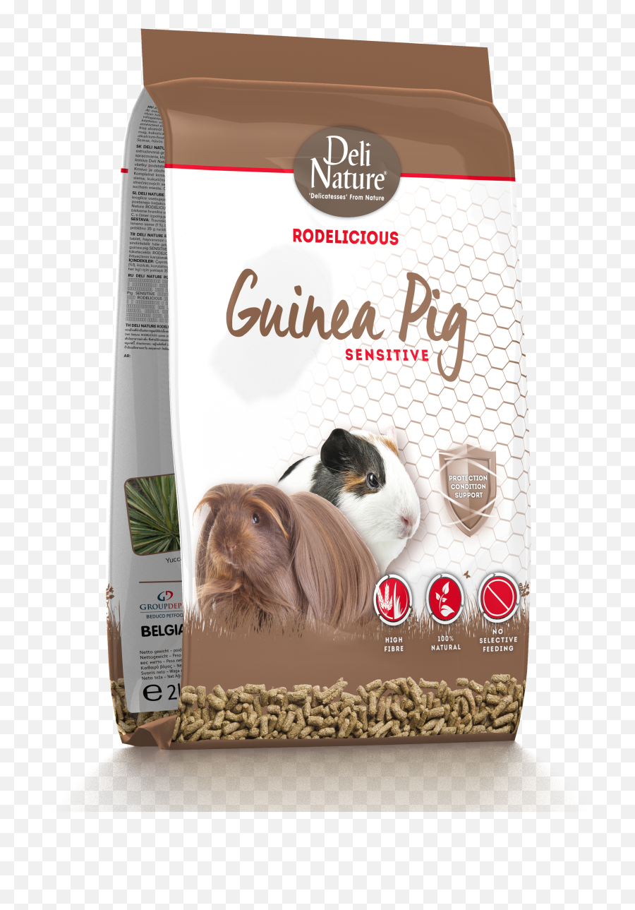 Deli Nature Guinea Pigs - Deli Nature Guinea Pig Png,Guinea Pig Png