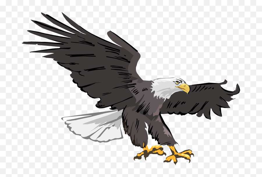 Eagles Clipart Prey Transparent Free For - Clipart Bald Eagle Png,Prey Png