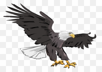 Eagles Clipart Prey Transparent Free For - Clipart Bald Eagle Png,Prey Png