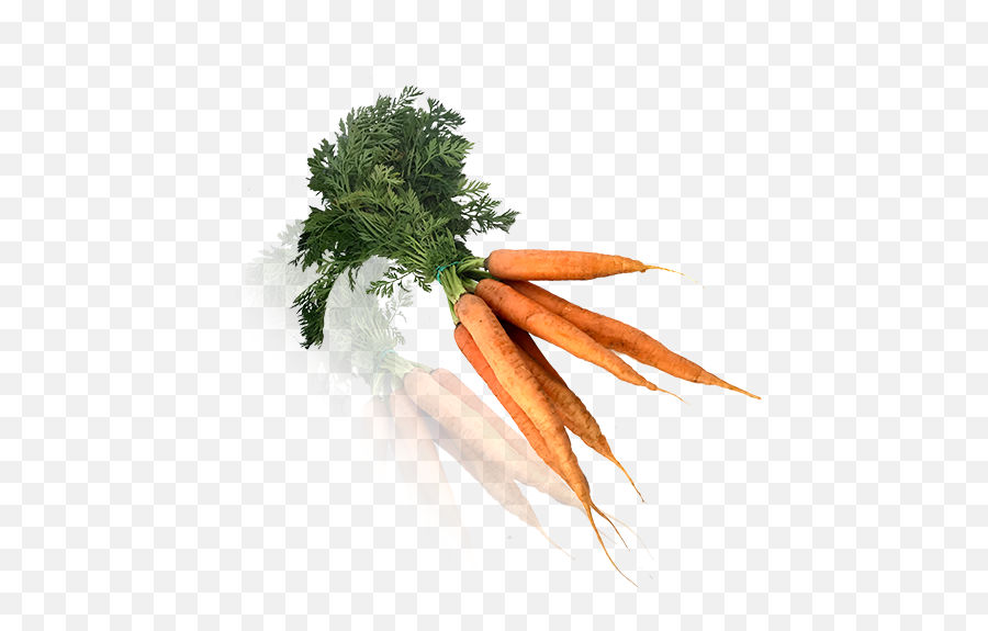 Zanahoria Manojo Bio - Superfood Png,Zanahoria Png