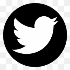 Twitter Transparent Background Best Images Hd Png