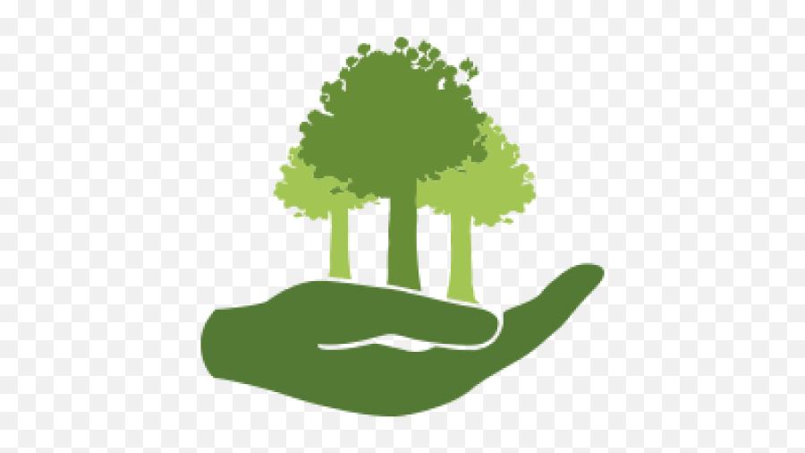 Dedicate A Tree - Native Forest Restoration Trust Planting Trees Icon Png,Plant Growing Icon