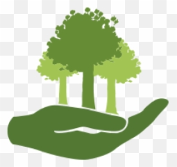 Dedicate Tree - NATIVE FOREST RESTORATION TRUST Planting Trees Icon png