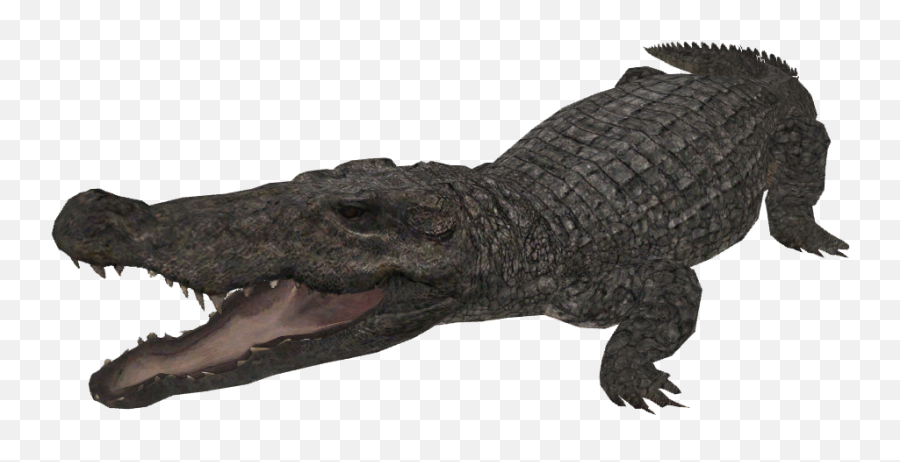 Mugger Crocodile - Zoo Tycoon 2 Crocodylia Download Png,Zoo Tycoon 2 Icon