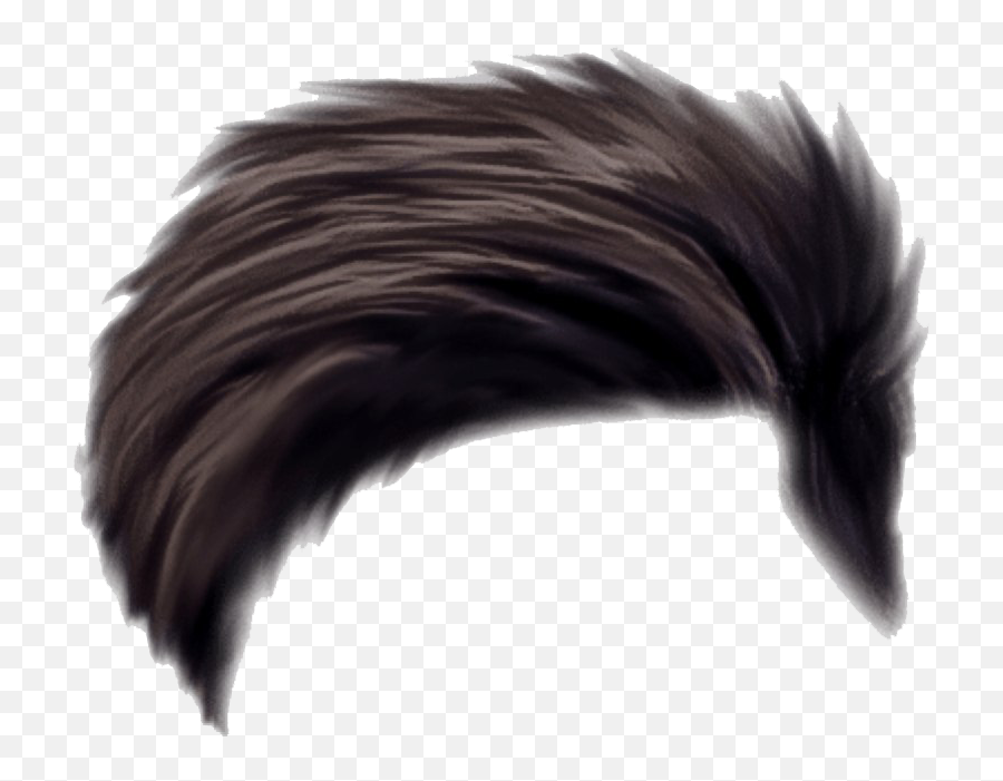 Hair Png Transparent Images Pictures - Boys Transparent Hair Png,Free Transparent Png