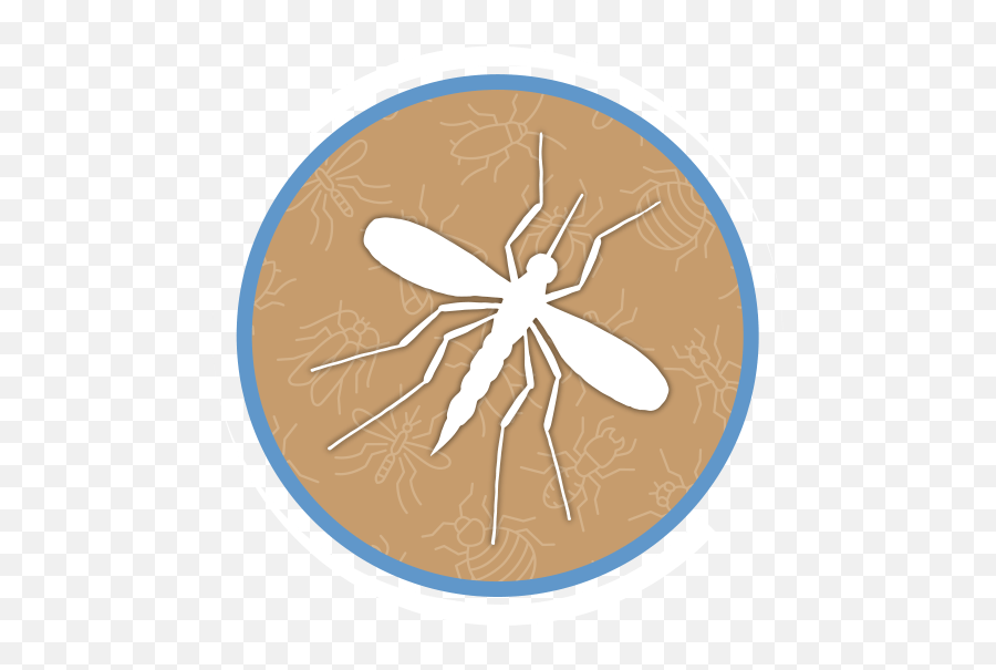 South U0026 Central Florida Pest Control Same Day Emergency - Parasitism Png,Mozzie Icon