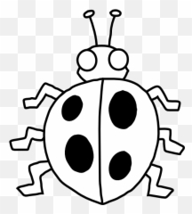 Ladybug Black And White Clipart - Suggest Ladybird png