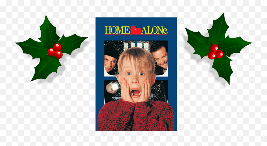 Download How Many Times Have I Seen Home Alone Couldnu0027t - Home Alone Dvd Ebay Png,Home Alone Png