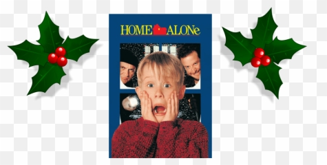 Download How Many Times Have I Seen Home Alone Couldnu0027t - Home Alone Dvd Ebay Png,Home Alone Png