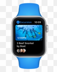 Royal Caribbean Digital Experience Design - Watch Strap png