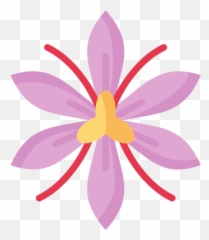 Saffron - Free food and restaurant icons Girly png