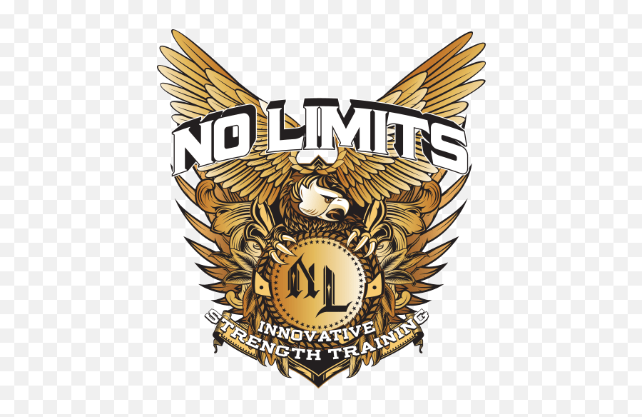 Home - No Limits Innovative Png,Strength Training Icon