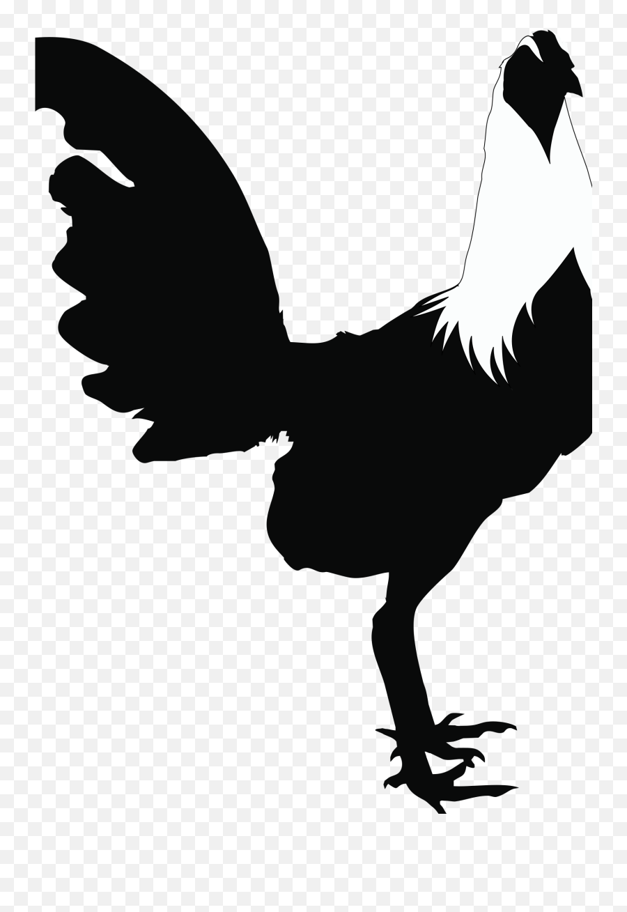Rooster Cochin Chicken Andalusian Houdan - Logos Gallos De Pelea Png,Gravel Png