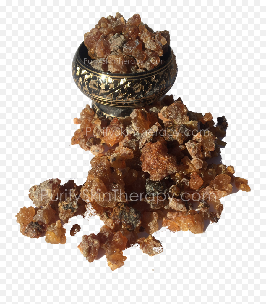 Larger Photo - Raisin Png,Raisin Png