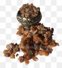 Larger Photo - Raisin Png,Raisin Png