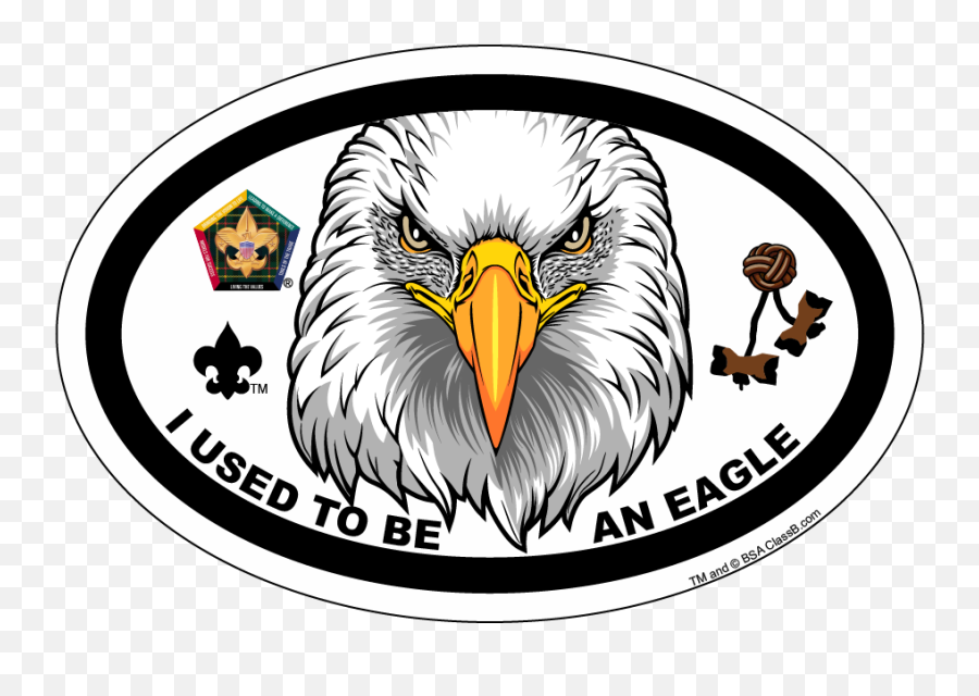 Old Logo Wood Badge Eagle Critter Oval - Boy Scouts Of America Png,Eagle Head Logo