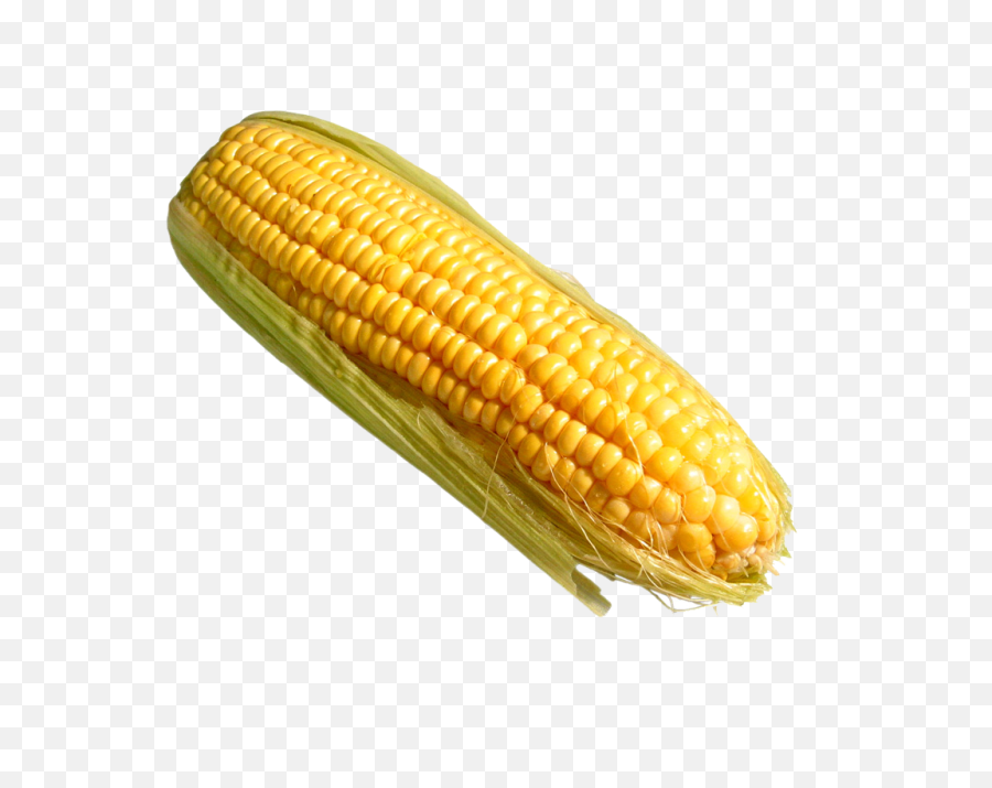 Corn - Things That Are Yellow,Corn Cob Png
