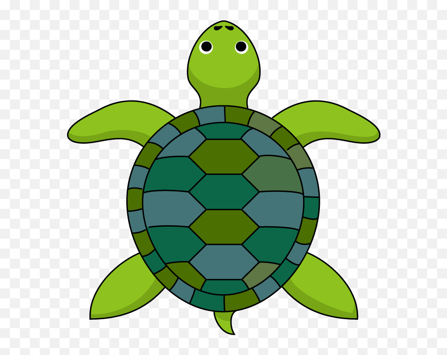 Turtle Clipart Top - Top View Turtle Png,Turtle Clipart Png