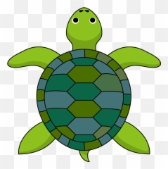 Turtle Clipart Top - Top View Turtle Png,Turtle Clipart Png