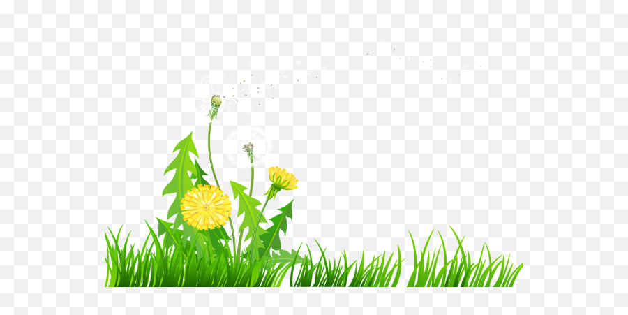 Grass With Dandelions Png Clipart - Dandelions Clip Art,Dandelions Png