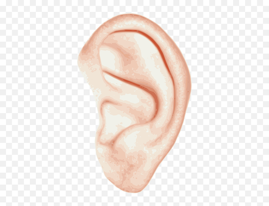 Ear Png Image Without Background Web Icons - Left Ears,Ear Icon Png