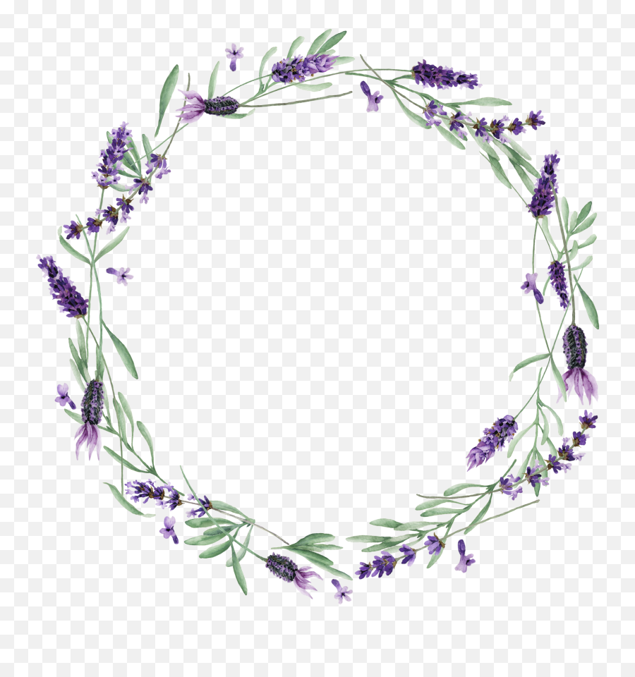 Download Visit - Lavendar Wreath Transparent Png Image With Vector Lavender Png,Wreath Transparent
