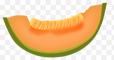 Cantaloupe Melon Fruit - Cantaloupe Clipart Png,Melon Png